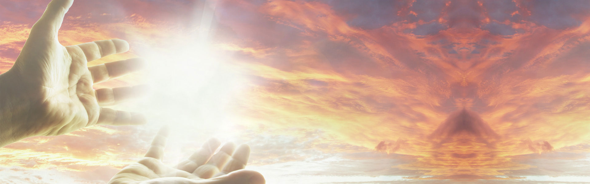 Bestattung Meisezahl -  H&auml;nde